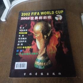2002世界杯前瞻