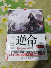 逆命 1 燃烧吧，音波侠