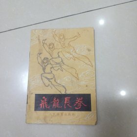 飞龙长拳.