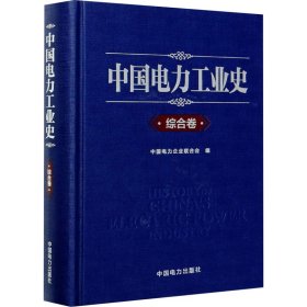 中国电力工业史 综合卷