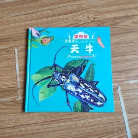 昆虫绘:铁嘴锯工—天牛