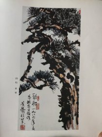 散页美术资料（印刷品）———书画——劲松【黄镇】，金鱼【吴作人】1960