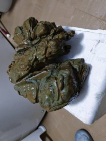 松花石象形奇石龙