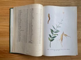 中药志（第二册）人民卫生版 16开精装