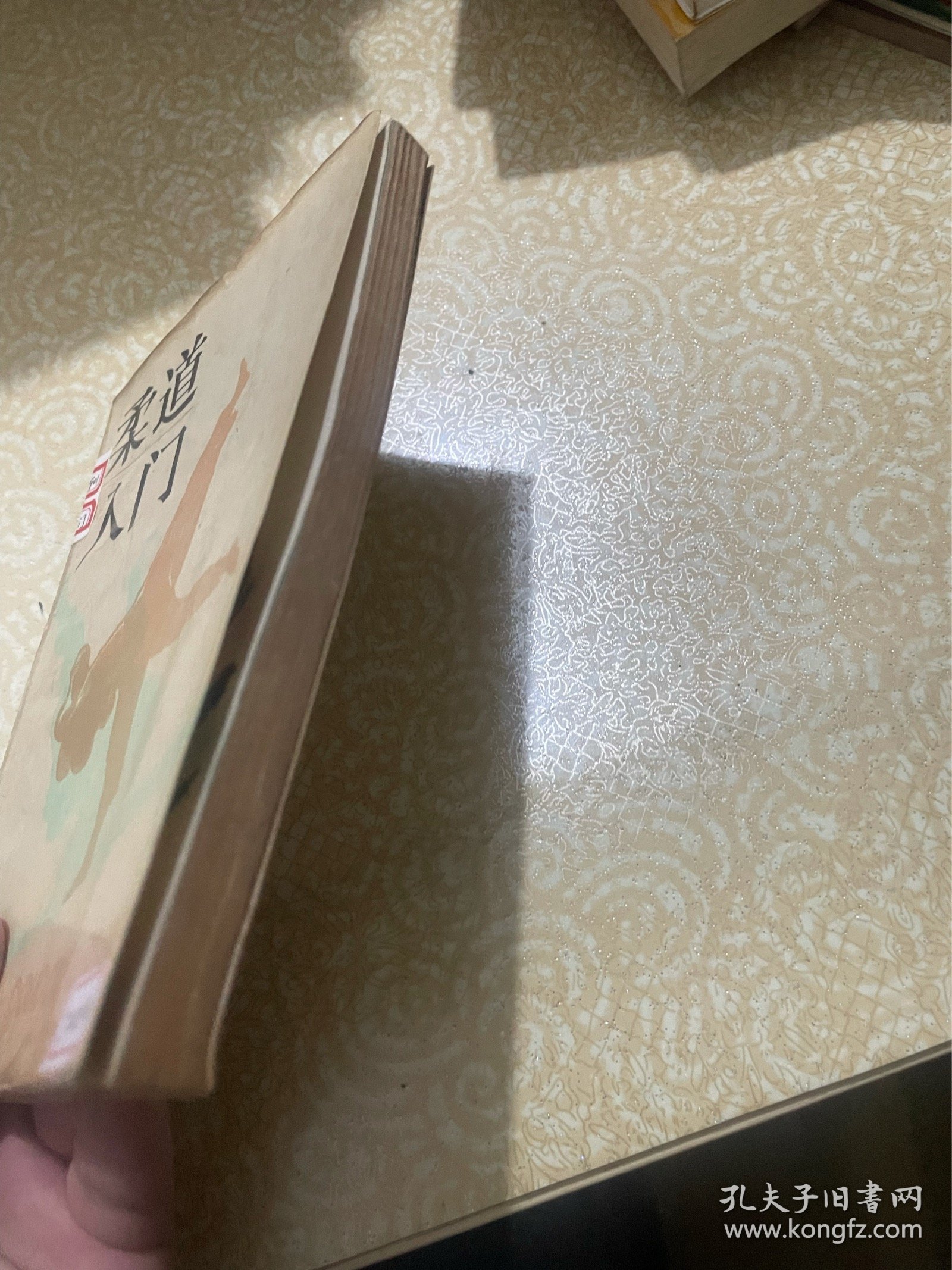 柔道入门