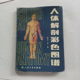 人体解剖彩色图谱