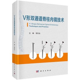 V形双通道脊柱内镜技术【正版新书】