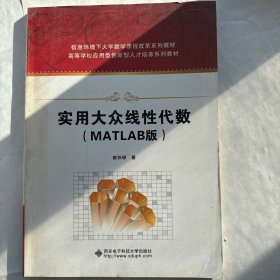 实用大众线性代数（MATLAB版）