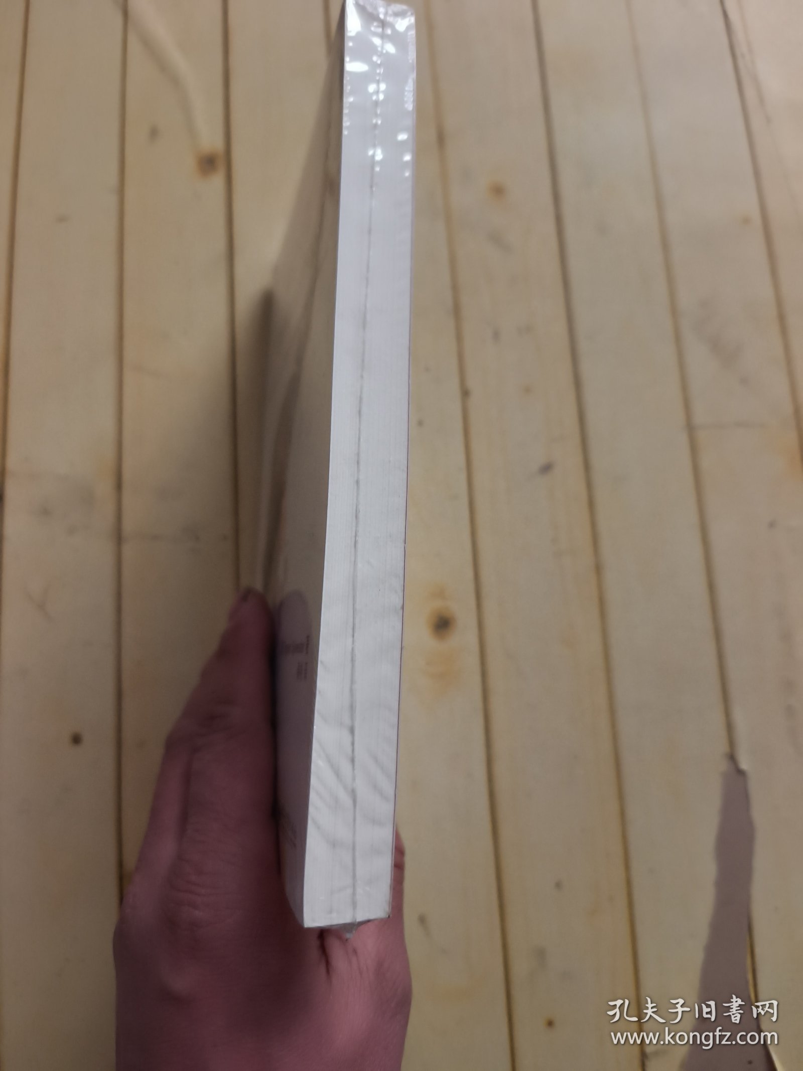 体验引擎：游戏设计全景探秘