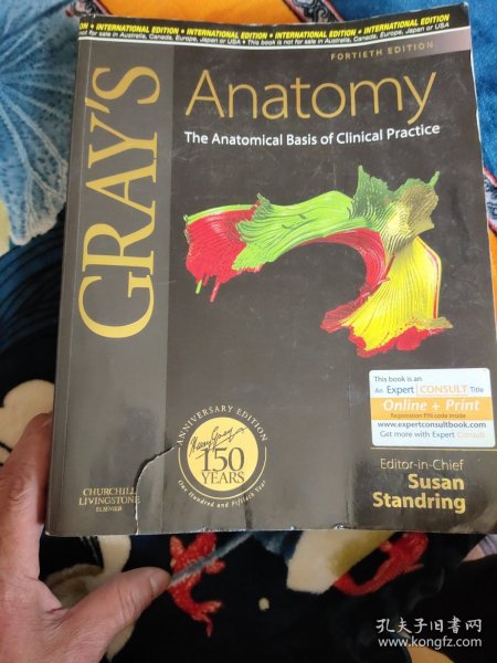 Gray's Anatomy : The Anatomical Basis of Clinical Practice