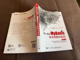 深入浅出MyBatis技术原理与实战，