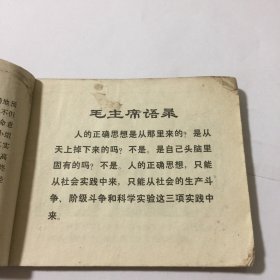 小雁齐飞（连环画）