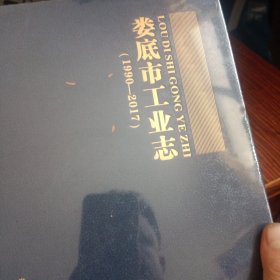 娄底市工业志（1990-2017）