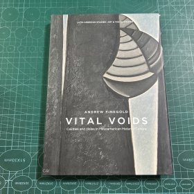 ANDREW FINEGOLD VITAL VOIDS（英文原版）［精裝］