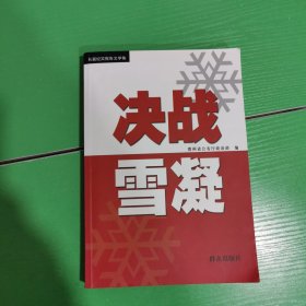 决战雪凝