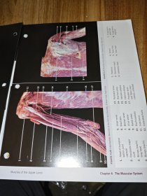a photographic atlas for anatomy&physiology（解剖学和生理学的摄影图集）