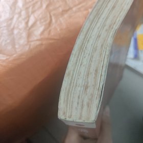 激荡三十年（全集）：中国企业1978-2008