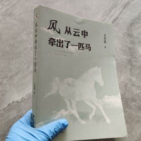 风从云中牵出一匹马