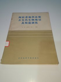 阿拉善地块边缘古生代生物地层及构造演化