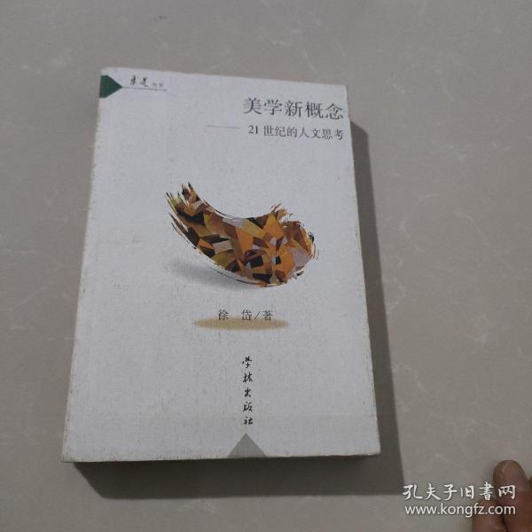 美学新概念：21世纪的人文思考