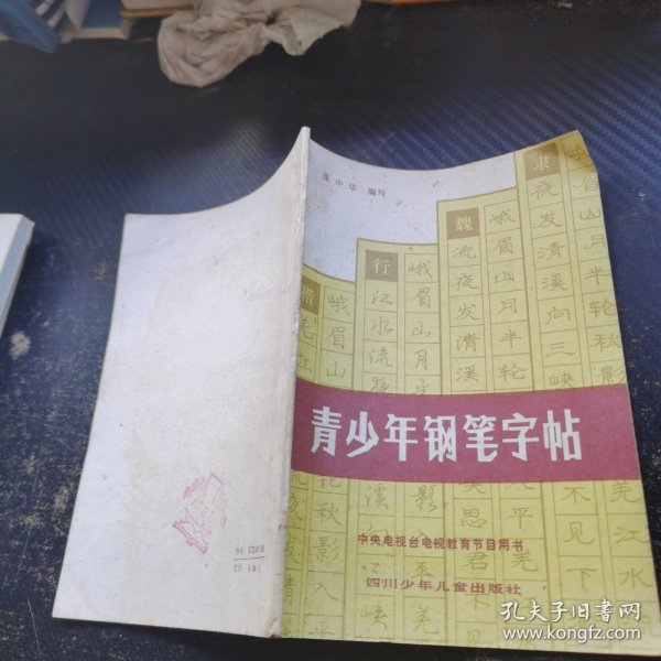 青少年钢笔字帖。