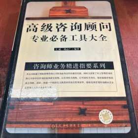 高级咨询顾问专业必备工具大全