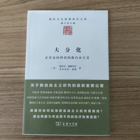 大分化：正在走向终结的新自由主义