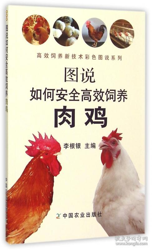 图说如何安全高效饲养肉鸡/高效饲养新技术彩色图说系列 普通图书/工程技术 编者:李根银|总主编:张树方 中国农业 9787109199248