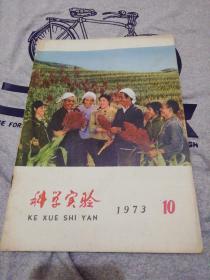 科学实验1973年第10期封面原国务院副总理陈永贵和大寨党支部书记郭凤莲与社员们在田间地头总结丰产经验时代色彩浓郁