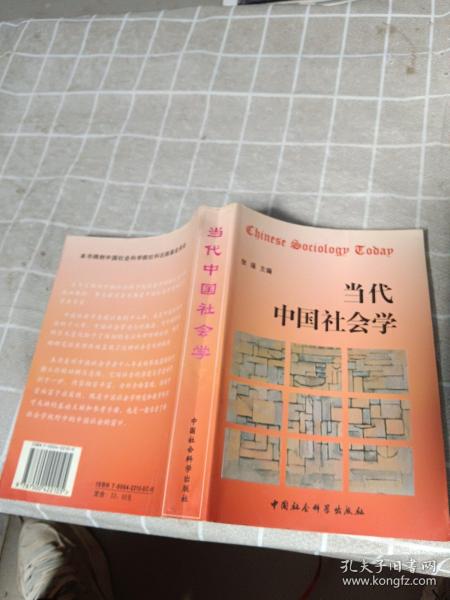 当代中国社会学