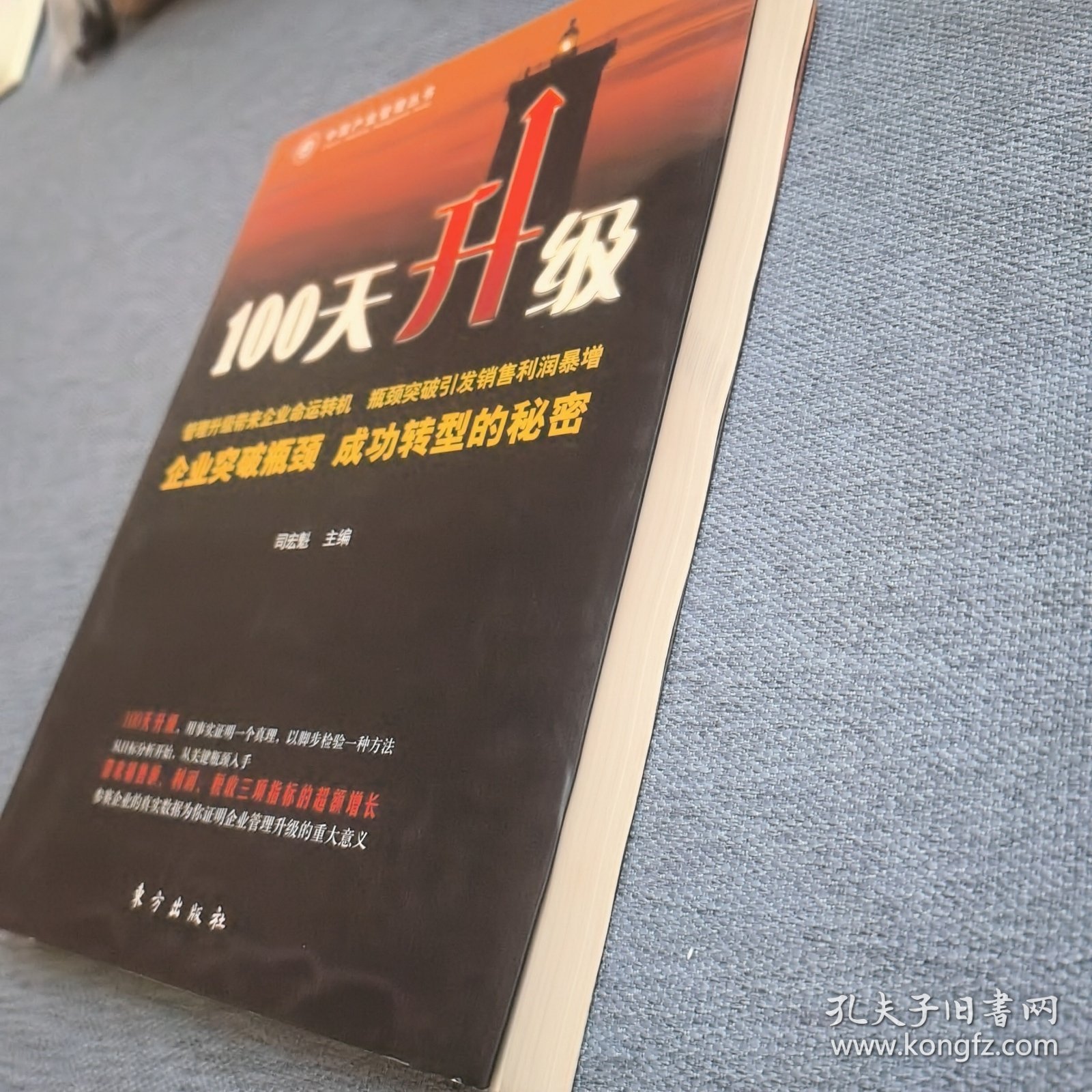 中国产业管理丛书：100天升级