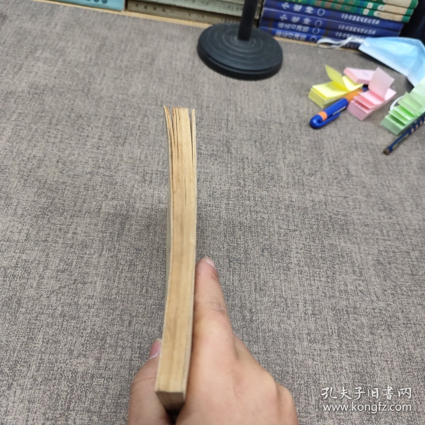 清华园日记 西行日记