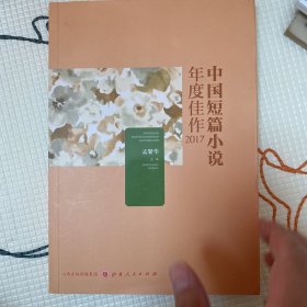 中国短篇小说年度佳作2017