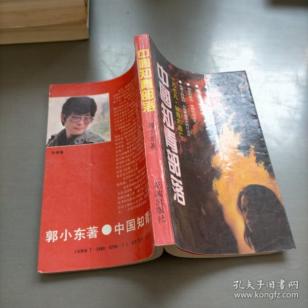 中国知青部落: 第一部  1979知青大逃亡