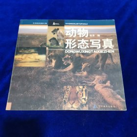 动物形态写真