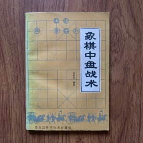 象棋中盘战术（内页干净）