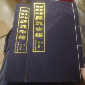 张家巷马家村张氏宗谱卷一卷二两册