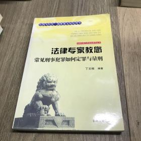 吉林文史出版社 法律专家为民说法系列丛书 法律专家教您常见刑事犯罪如何定罪与量刑