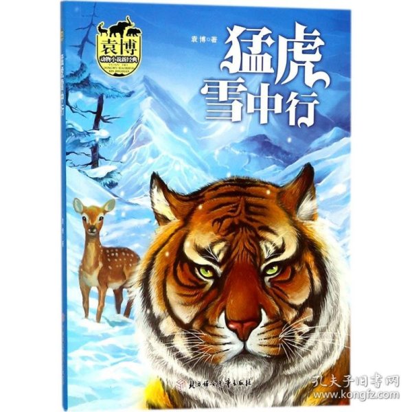 猛虎雪中行/袁博动物小说新经典