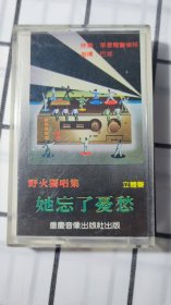 她忘了忧愁，野火独唱集