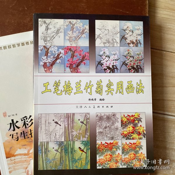 工笔梅兰竹菊实用画法