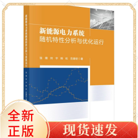 新能源电力系统随机特分析与优化运行