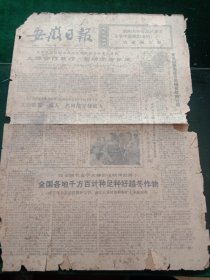 安徽日报，1975年12月1日详情见图，对开四版。