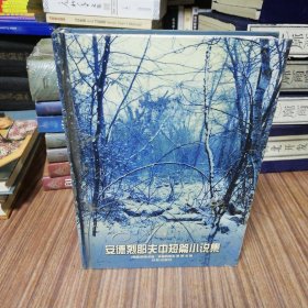 安德烈耶夫中短篇小说集（2000年12月第1版，2003年3月第2次印刷）