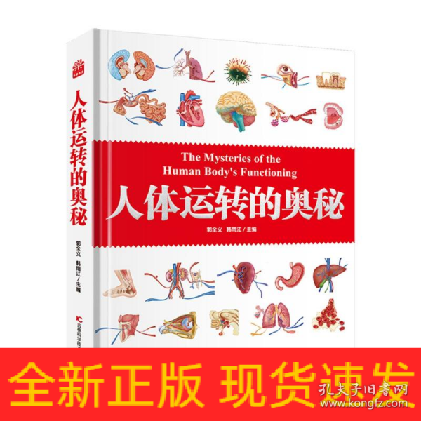 人体运转的奥秘   人体大百科 少儿百科全书 科普 书籍 人体视觉图鉴 图解人体奥秘 人体学 正常人体结构书 生活百科全书 青少年科普知识书籍