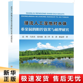 潜流人工湿地对水体重金属的阻控效果与机理研究