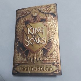 KING OF SCARS（伤痕之王）