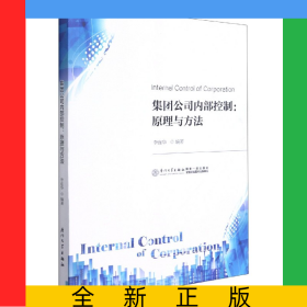 集團公司內(nèi)部控制--原理與方法