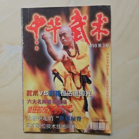 中华武术杂志1999.3期