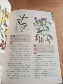 本草纲目：本草纲目（精华本）